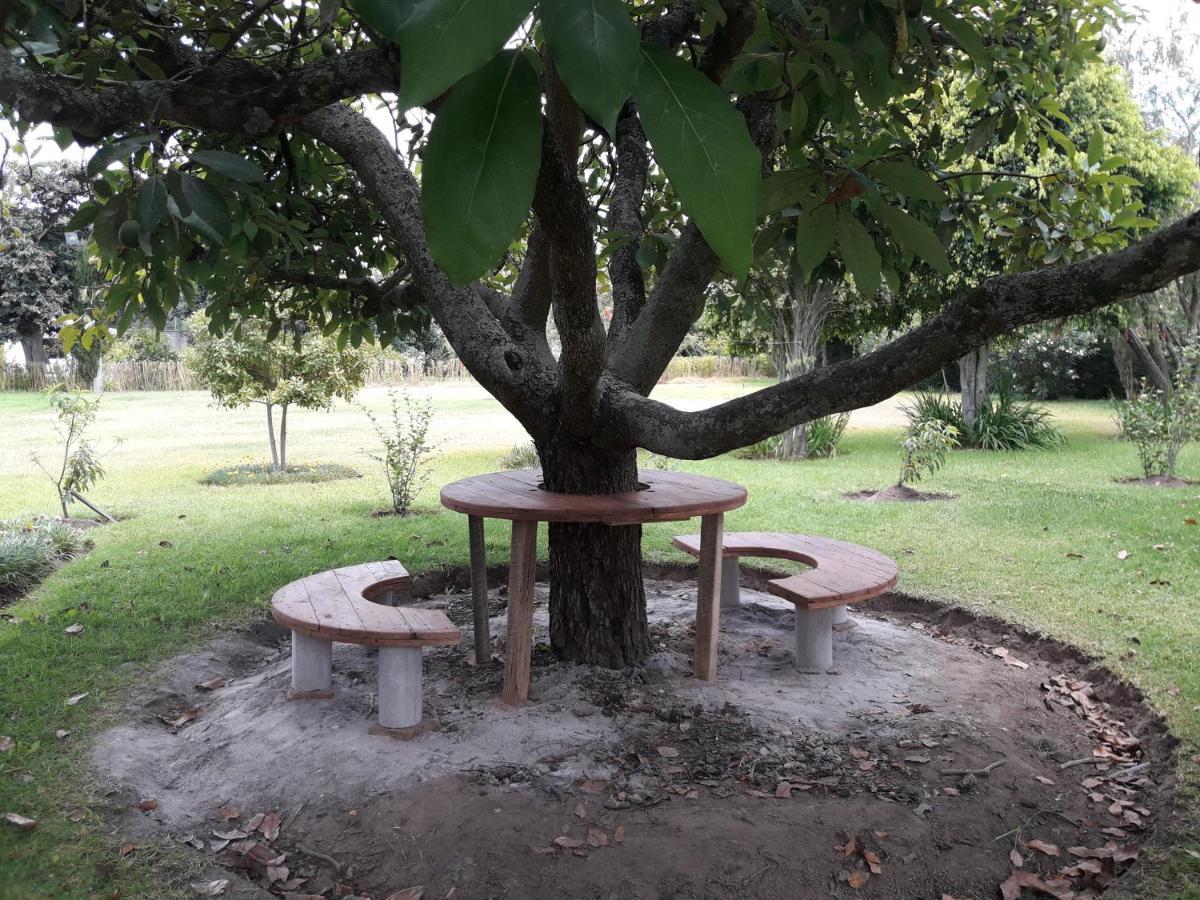 מלון Puembo Quinta La Gardenia מראה חיצוני תמונה